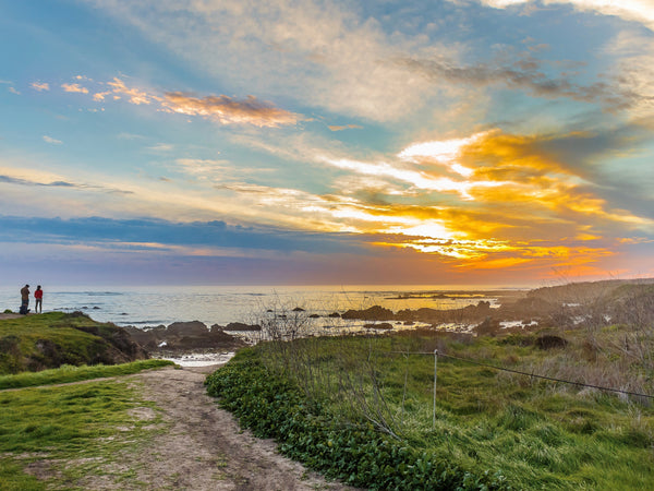 iNaturalist Program for Estero Bluffs State Park