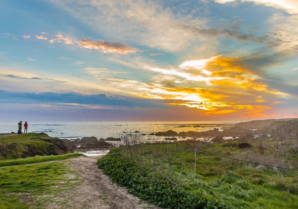 2026 Biodiversity Week - iNaturalist Event at Estero Bluffs