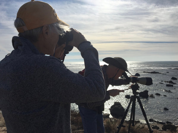 Holiday Walk on Estero Bluffs