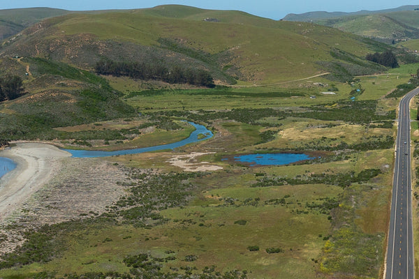 Villa Creek Restoration Project at Estero Bluffs Begins Oct 19, 2026