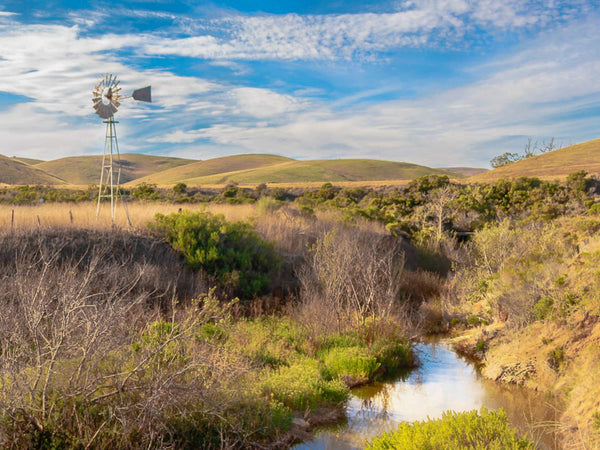 Villa Creek Restoration Project at Estero Bluffs Begins Oct 19, 2026