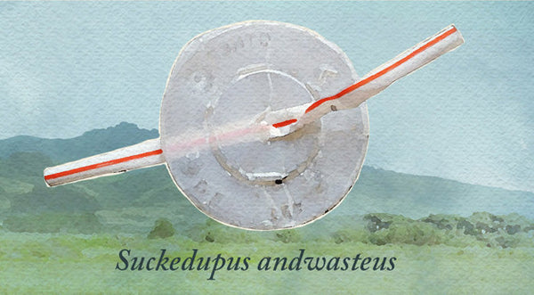 Estero Bluffs Clean-Up 2025